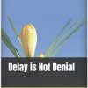 BOOK FOR SALE – Delay is Not Denial