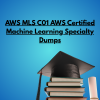 AWS MLS C01 AWS Certified Machine Learning Specialty Dumps
