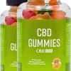 https://www.facebook.com/PlantaCBDGummies/