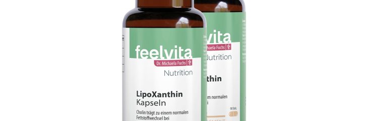 Lipo Xanthin Test: Ihr Weg zu weniger Bauchfett mit natürlichen Inhaltsstoffen