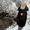 https://paragooseofficial.fr/doudoune/